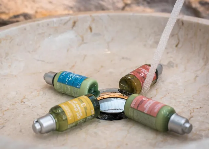 大使官邸精品酒店 干尼亞